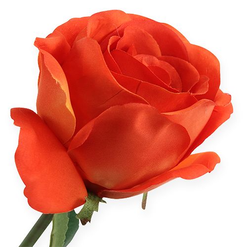Floristik24 Dekorative roser orange 32 cm 6stk