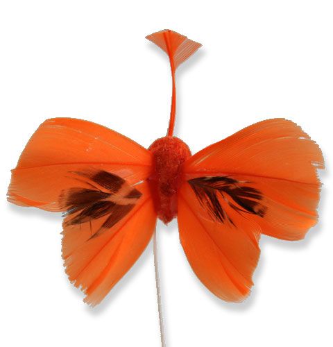 Floristik24 Dekorative sommerfugle på orange orange 9 cm 36p