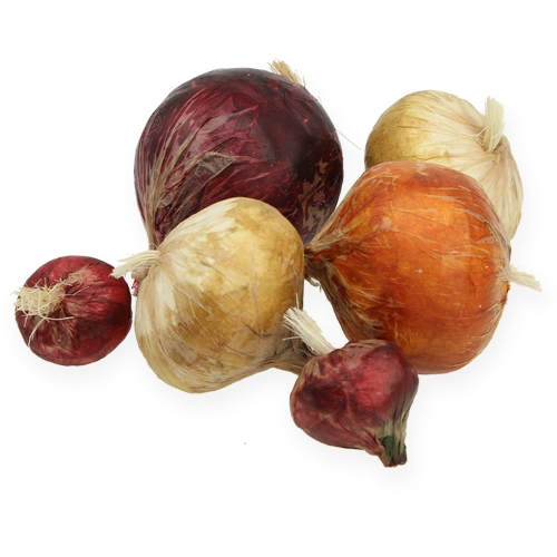 Floristik24 Løg store og små kunstige 14stk.