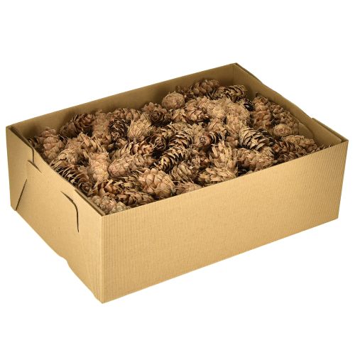Artikel Douglas kegler 1,3 kg