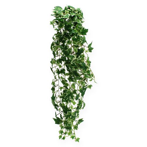 Floristik24 Ivy hanger kunstgrønt, creme 75cm