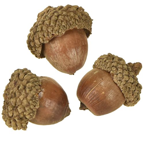 Artikel Agern til dekoration, efterårsdekoration, naturlige efterårsfrugter Ø1,5 – 2,5 cm L1,5 – 3 cm 300 g