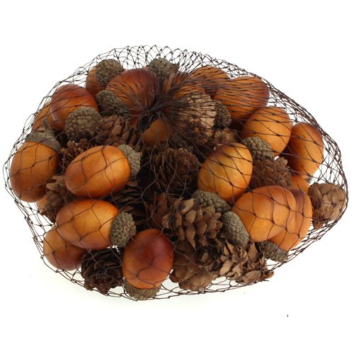 Floristik24 Acorn, kegler blandes i en netto 60stk