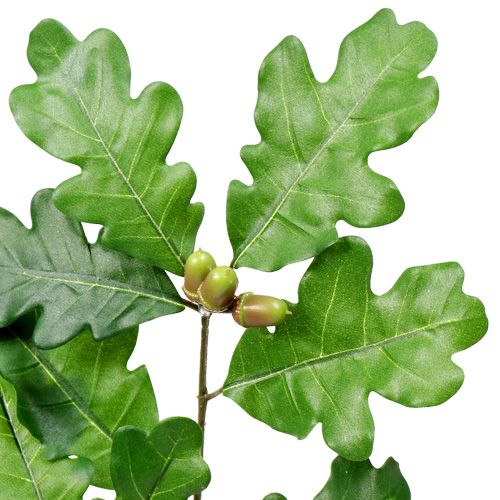Floristik24 Eggren 68 cm
