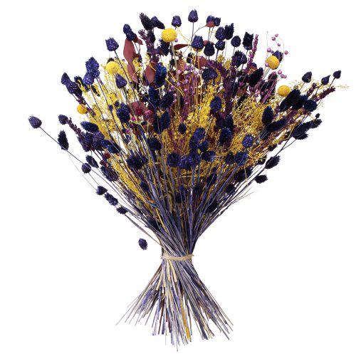 Artikel Jordbærtidsler Tørtidseltidseldekoration Violet 44-58cm 100g