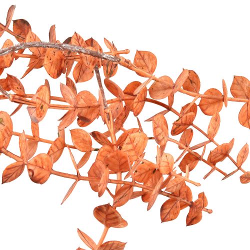 Artikel Kunstig Eucalyptus Hanger Autumn Eucalyptus Orange 150cm