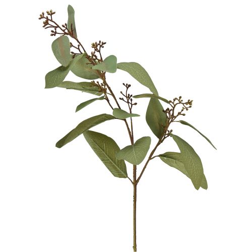 Floristik24 Eucalyptus gren kunstig dekorativ gren grøn kunstig gren 60cm