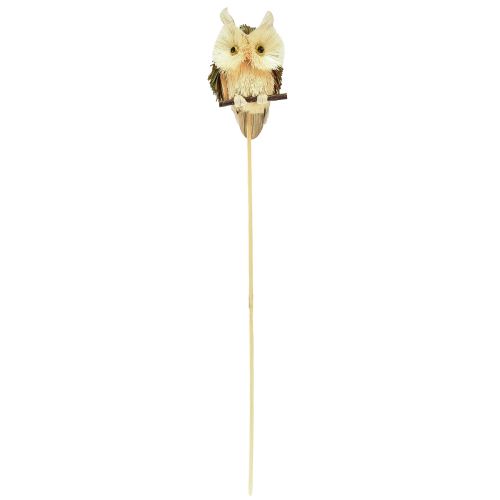 Artikel Ugle dekorative blomsterpropper efterårsdekoration natur Ø4cm H8cm 4stk