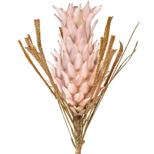 Artikel Eksotisk kunstig blomst pink stor ananas blomst 74cm
