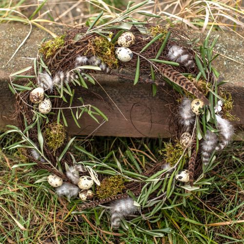 Floristik24 Fasan Fjer Dekoration Ægte Fjer Natur 40cm 9 stk
