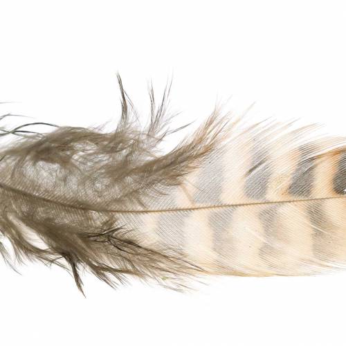 Floristik24 Fjer naturlige 4,5 - 9 cm 20g