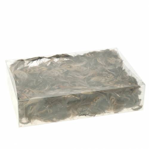 Floristik24 Fjer naturlige 4,5 - 9 cm 20g