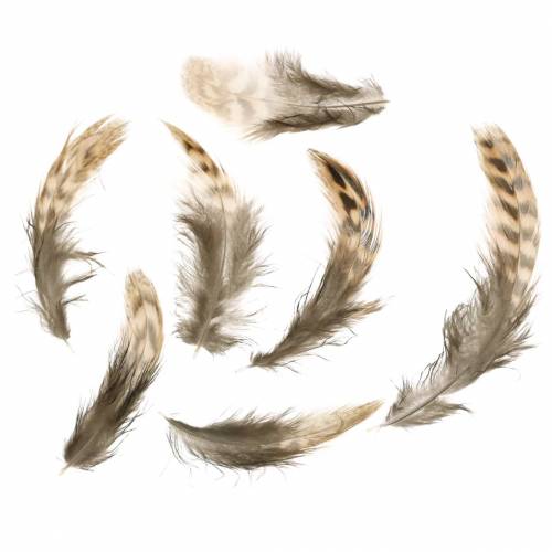Floristik24 Fjer naturlige 4,5 - 9 cm 20g