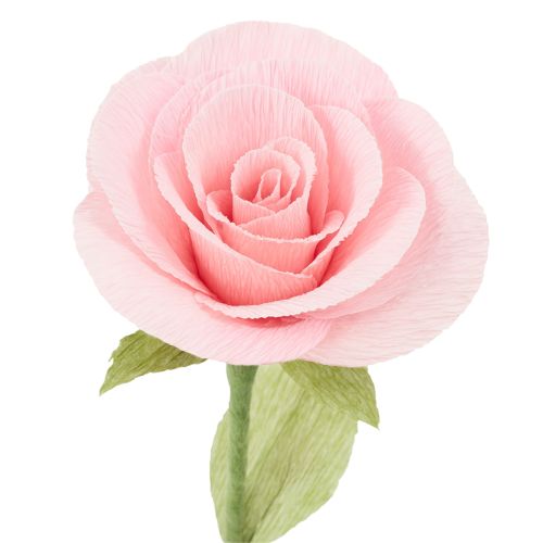 Artikel Blomsterhandler crepepapir blomsterhandler crepe græsgrøn 50×250 cm 5 stk.