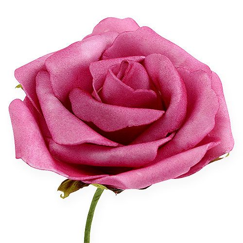 Floristik24 Skumrose Ø 8cm fuchsia 18 stk