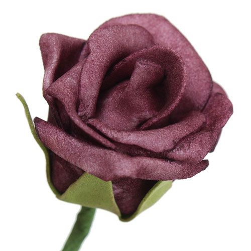 Floristik24 Skum Rose Bordeaux Ø3.5cm 30p