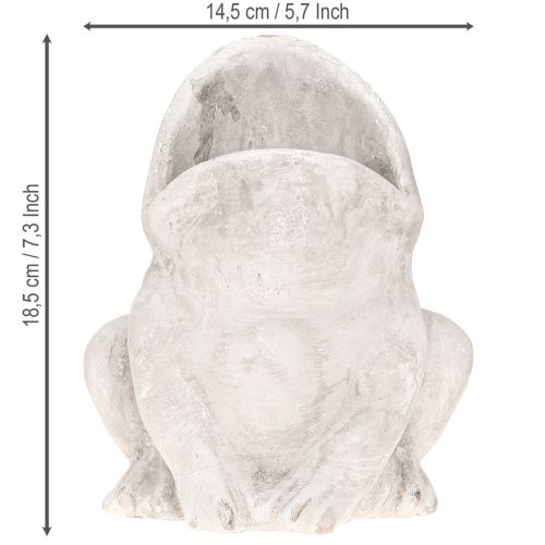 Artikel Frø dekorativ plantepotte urtepotte betongrå H18,5cm