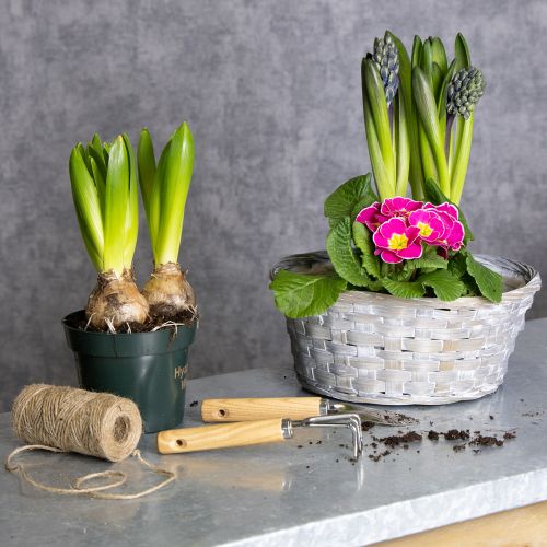 Artikel Flettet kurv som stilfuld blomsterdekoration i opholdsstuen. Påskekurv, 23 cm, 6 stk.