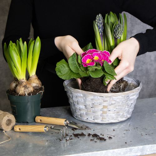 Artikel Flettet kurv som stilfuld blomsterdekoration i opholdsstuen. Påskekurv, 23 cm, 6 stk.
