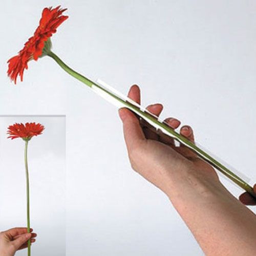 Artikel Gerbera støtteslange 17mm, 200m