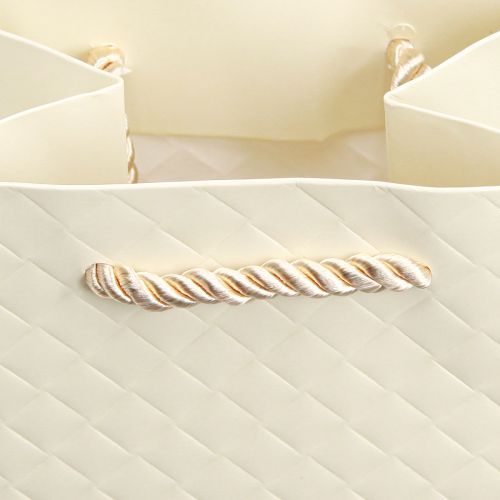 Artikel Gavepose til flasker papircreme 12×9×36cm 1 stk