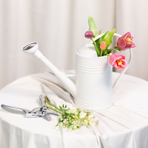 Artikel Vandkande med aftageligt rosenhoved. Ideel til stueplanter og altaner. 32 cm.