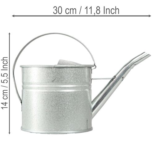 Vintage dekorativ vandkande, metal, sølv, 1,25l plantekasse | Floristik24.dk