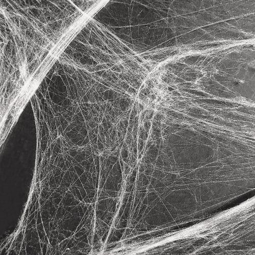 Floristik24 Halloween dekoration edderkoppespind 70×100 cm 150 g