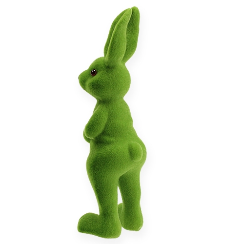 Floristik24 Dekorativ bunnygrøn stående 20 cm 4stk.