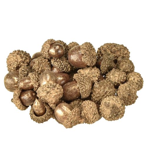 Floristik24 Gyldne efterårsfrugter, festlige efterårsdekorationer, naturlige dekorative agern, adventsdekoration Ø1,5 – 2,5 cm L1,5 – 3 cm 300 g