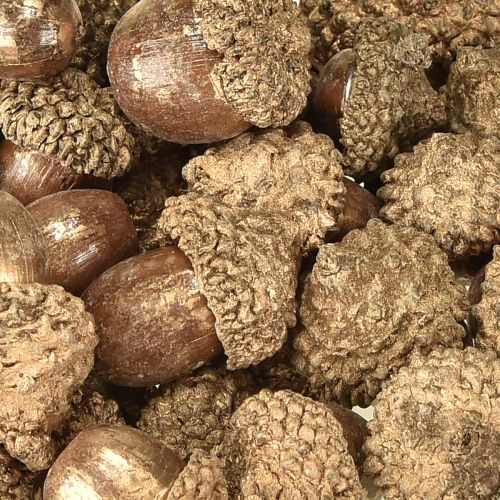 Artikel Gyldne efterårsfrugter, festlige efterårsdekorationer, naturlige dekorative agern, adventsdekoration Ø1,5 – 2,5 cm L1,5 – 3 cm 300 g