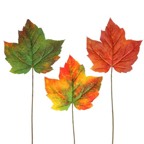 Floristik24 Maple leaf dekoration 36cm 12pcs