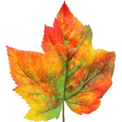 Floristik24 Maple leaf dekoration 36cm 12pcs
