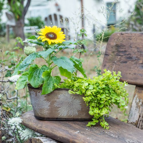 Artikel Efterårskrukke, planteskål med blade, metaldekoration gylden L38cm H15cm