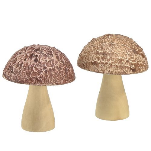 Floristik24 Træsvampe dekorative svampe borddekoration efterår brun natur 5×6cm 8 stk