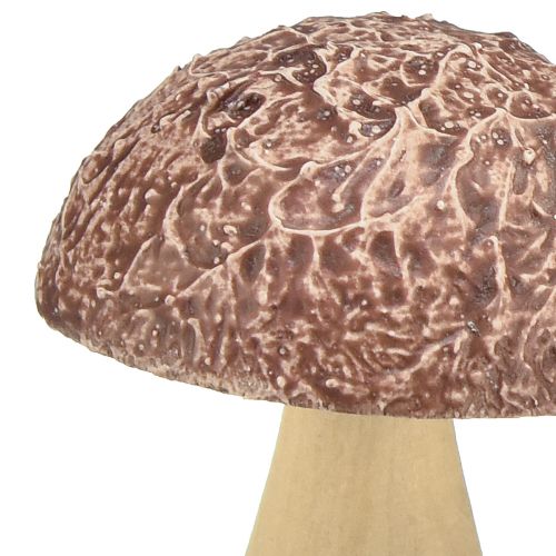 Artikel Træsvampe dekorative svampe borddekoration efterår brun natur 5×6cm 8 stk