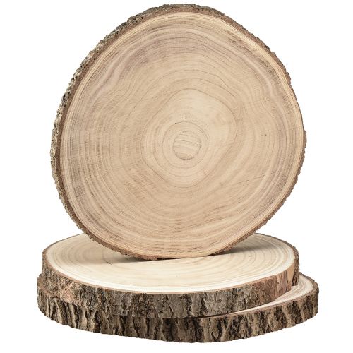 Floristik24 Træskiver træskive Paulownia natur Ø26-28cm 3 stk