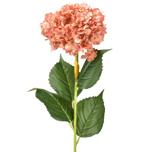 Hortensia Pink 80cm 1 stk