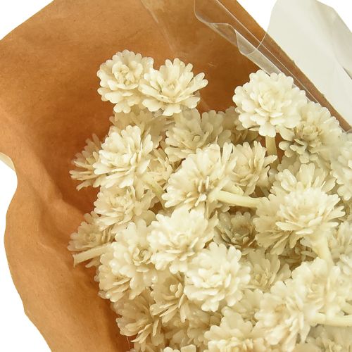 Artikel Kunstig karryurt hvid beige L28cm 12 stk 1 bundt