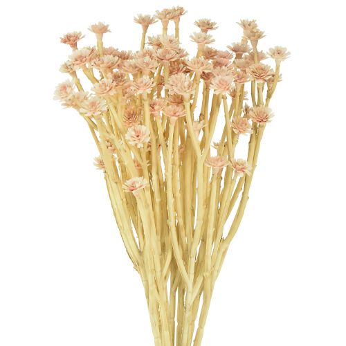 Italienske stråblomst kunstige blomster Pink L28cm