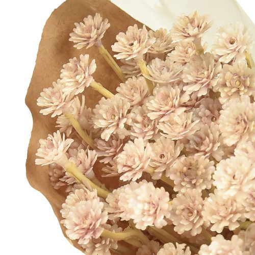 Artikel Italienske stråblomst kunstige blomster Pink L28cm