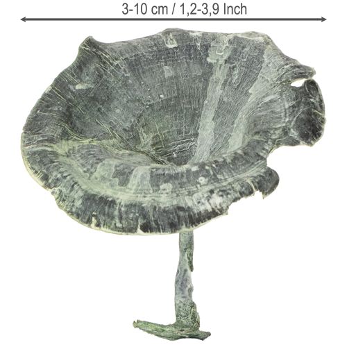 Artikel Kalix Champignon Grøn, Hvidvasket 100 stk