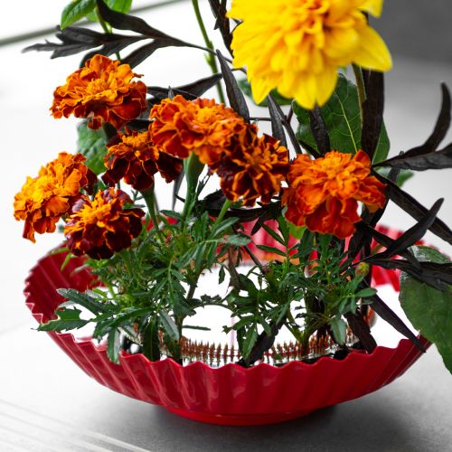 Artikel Kenzan Ringstiftstøtte Messingstiftstøtte Ø150mm