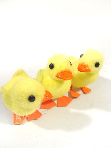 Floristik24 Chick m. Trådfødder 8 cm 12stk. gul / orange