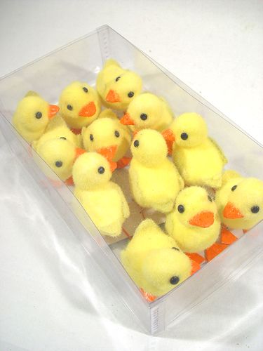 Floristik24 Chick m. Trådfødder 8 cm 12stk. gul / orange