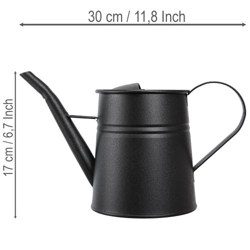 Stilfuld lille dekorativ vandkande, sort metal, 30x13x17cm, 1,7l, plantekasse, dekoration til lejlighed/altan | Floristik24.dk