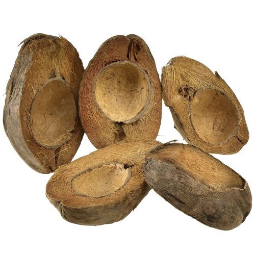 Artikel Kokos som planteskål naturlig plantepotte 20cm 5 stk
