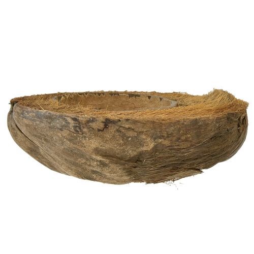 Artikel Kokos som planteskål naturlig plantepotte 20cm 5 stk