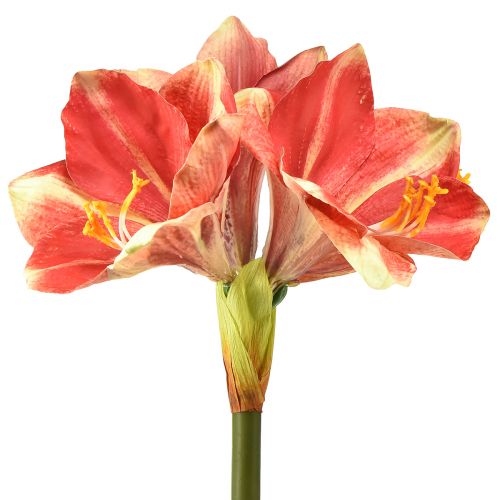 Kunstig Amaryllis Pink og Creme – Stor Stængel Blomst 76cm