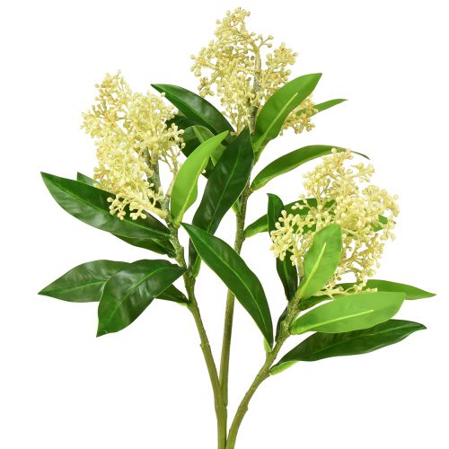 Artikel Kunstige blomster creme Skimmia japonica Skimmie 45cm 2stk